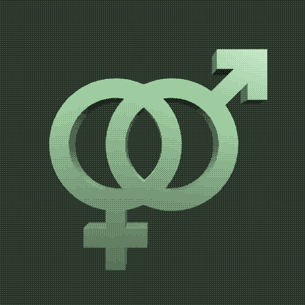Gender Bias Detection