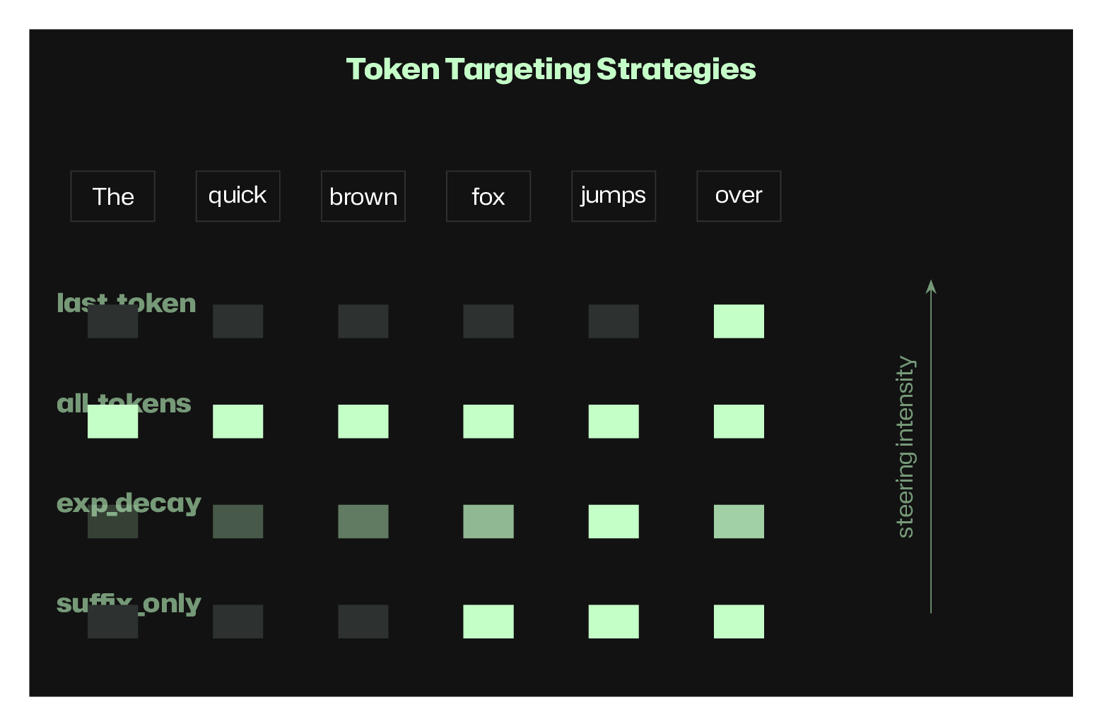 Token targeting strategies showing last_token, all_tokens, exp_decay, and suffix_only options